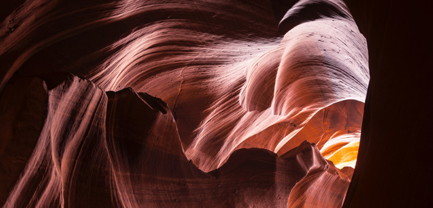 ash wednesday and Lent